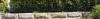 Whitechapel fence